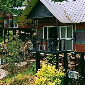 Superior Villa
